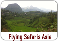 Flying Safaris Asia