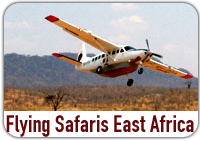 Flying Safaris East Africa