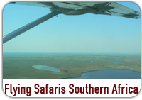 Flying Safaris Southern Africa