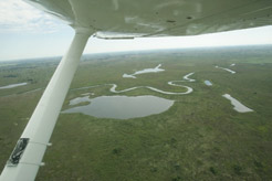 foto Southern Africa Flying Safaris