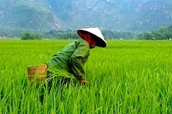 foto Vietnam Aventura 3