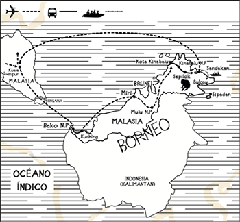 mapa de Selvas de Borneo a medida