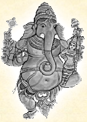 elefante viaje india sur