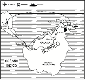 mapa de Selvas de Borneo Grupo
