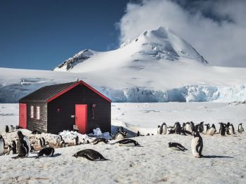 foto VIAJES Antártida 3