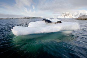 foto VIAJES Antártida 5