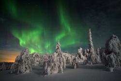 Finlandia, la ruta del lobo: Finlandia