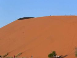 Las dunas del Namib: Namibia