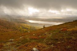 Ruta del Sol de Medianoche: Laponia