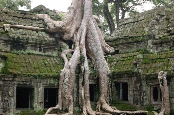 Templo de Ta Prom en Angkor: Vietnam, Camboya