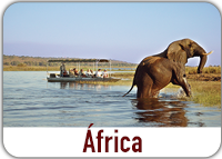 Mira nuestros viajes en Africa