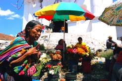 imagen Viajes a Guatemala, Honduras