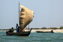 imagen Viajes a Senegal