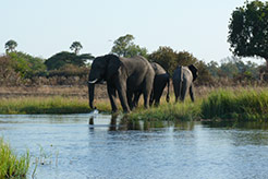 imagen Botswana