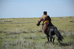 foto Mongolia
