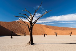 foto Explora Namibia