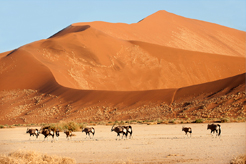 foto Explora Namibia 